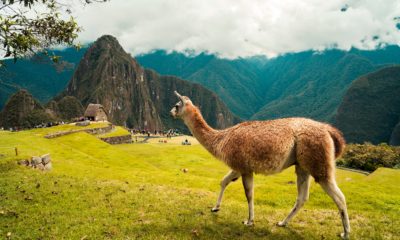 Machu Picchu, Peru