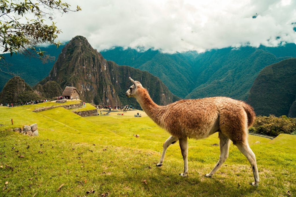 Machu Picchu, Peru