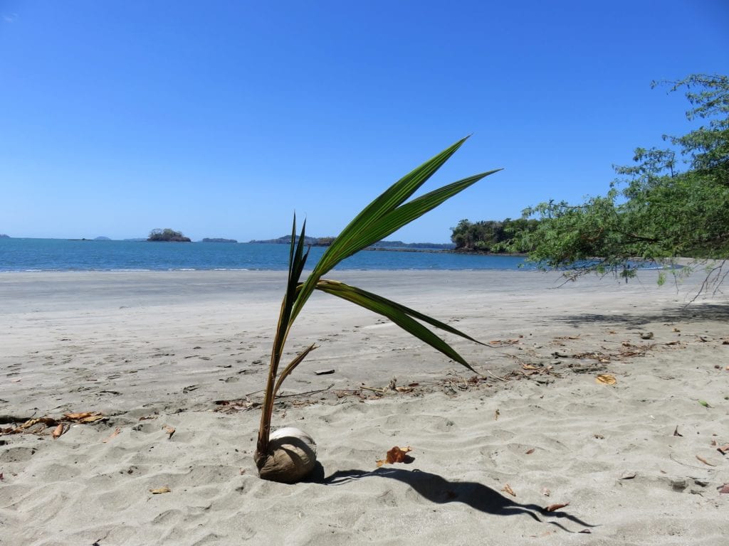 Boca Chica, Panama