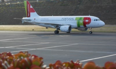 TAP Portugal, fot. Artur Filipe Santos Rodrigues Pixabay